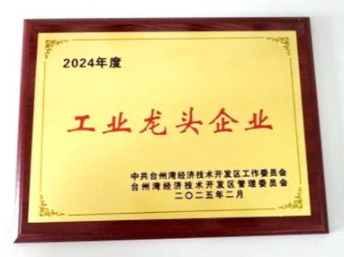 Lianhe Aigen won a number of awards in Linhai City's 2024 Economic Recognition