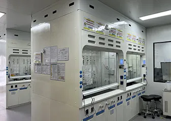 Lab