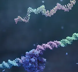 Oligonucleotide Platform