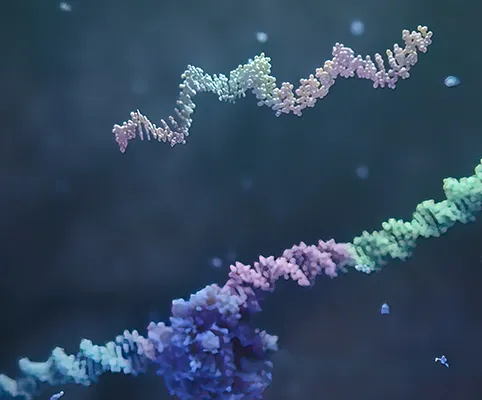 Oligonucleotide Platform