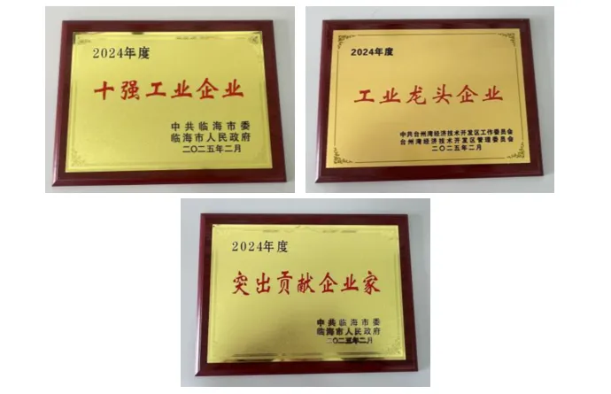 Lianhe Aigen won a number of awards in Linhai City's 2024 Economic Recognition